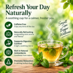 Organic Wellness Mint Harmony Herbal Tea | Caffeine-Free Mint & Tulsi Herbal Infusion | Peppermint, Spearmint, Lemongrass & Tulsi Blend | Refreshing & Soothing | 100 gm - Image 3
