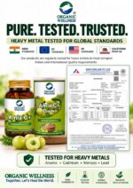 Organic Wellness Amla Powder - 100 gm certified laboratory test report for heavy metals, purity, and safety standards