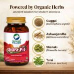 Daily health support and vitality benefits of Organic Wellness Joint Fit 90 Capsules