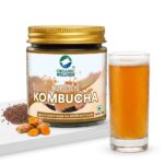 Indian Kombucha 350 ML Bottle