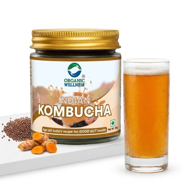 Organic Wellness Indian Kombucha 350 ML Bottle product packaging front view showing authentic bottle / tin
