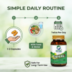 Daily health support and vitality benefits of Organic Wellness Lipid-Fit 90 Capsules