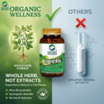Product highlights and potent herbal formulation of Organic Wellness Lipid-Fit 90 Capsules