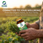 Product presentation, specifications, and details of Organic Wellness Lipid-Fit 90 Capsules