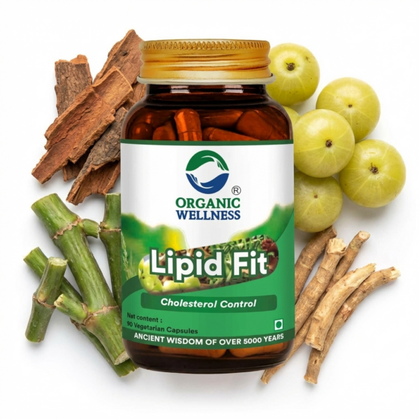Organic Wellness Lipid-Fit 90 Capsules product packaging front view showing authentic bottle / tin