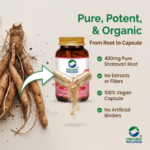 100% natural organic ingredients and herbal extracts in Organic Wellness Shatavari A+ 90 Veg Capsules