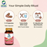 Daily health support and vitality benefits of Organic Wellness Shatavari A+ 90 Veg Capsules