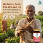 Product highlights and potent herbal formulation of Organic Wellness Shatavari A+ 90 Veg Capsules