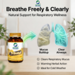 Product highlights and potent herbal formulation of Organic Wellness Trikatu 90 Capsules