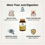 Quality assurance, purity standards, and chemical-free assurance for Organic Wellness Triphala 90 Capsules