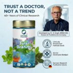 Product highlights and potent herbal formulation of Organic Wellness Tulsi Brahmi 100 grams Tin Pack