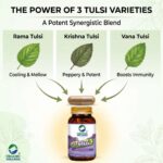 Key health benefits and wellness features of Organic Wellness Tulsi+ 90 Capsules