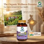 Daily health support and vitality benefits of Organic Wellness Tulsi+ 90 Capsules
