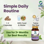 Product highlights and potent herbal formulation of Organic Wellness Tulsi+ 90 Capsules