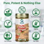 Daily health support and vitality benefits of Organic Wellness Tulsi Ginger 100 grams Tin Pack