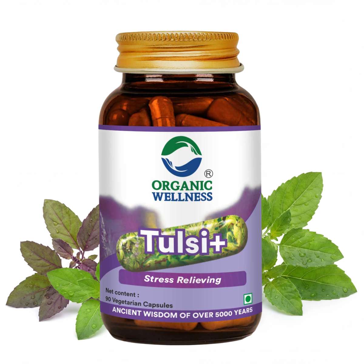 Organic Wellness Tulsi+ 90 Capsules - Front View Main Packaging Organic Wellness Tulsi+ 90 Capsules product packaging front view showing authentic bottle / tin