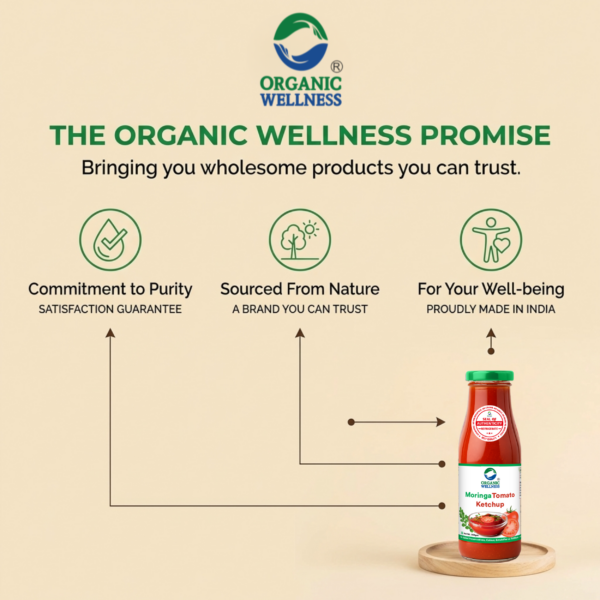 Organic Wellness Moringa Tomato Ketchup 350g | 100% Natural | 85% Fresh Tomatoes | No Chemicals, No Added Colors, No CornStarch, No Oils, No Preservatives, No Thickeners